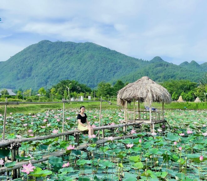 Dự Tính Kinh Phí Du Lịch An Lạc Resort 2 Ngày 1 Đêm